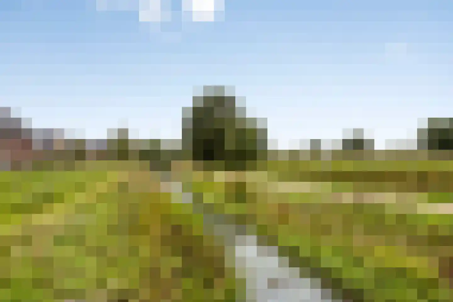 Zandhorst 11 Enter thumbnail 40
