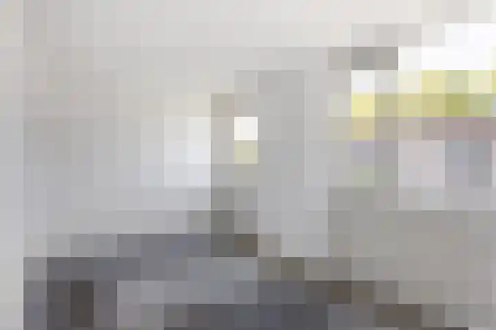 Zandhorstlaan 10 Oldenzaal thumbnail 12