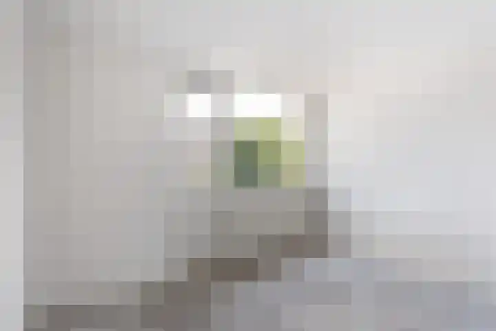 Zandhorstlaan 10 Oldenzaal thumbnail 14