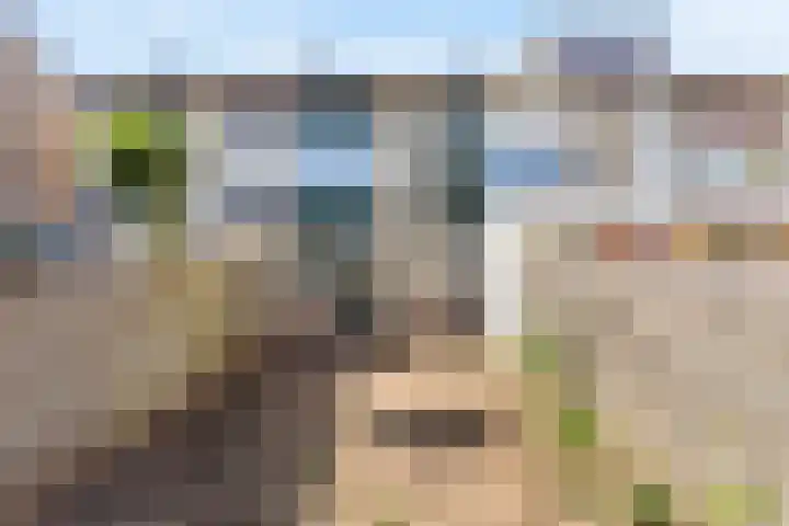Zandhorstlaan 10 Oldenzaal thumbnail 16