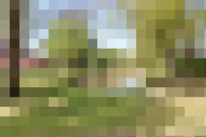 Zandhorstlaan 10 Oldenzaal thumbnail 18