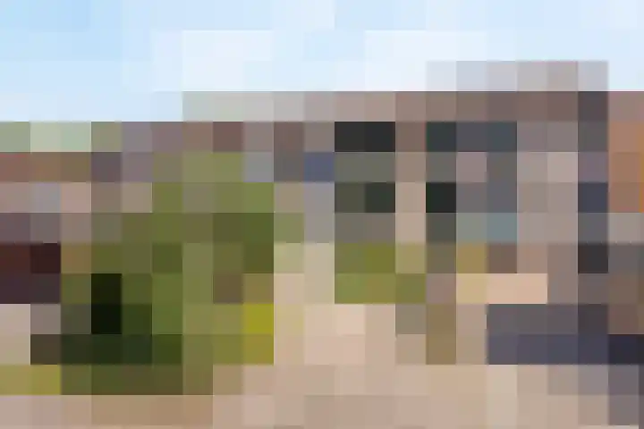 Zandhorstlaan 10 Oldenzaal thumbnail 22