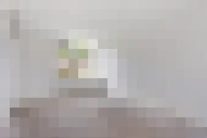 Zandhorstlaan 10 Oldenzaal thumbnail 7