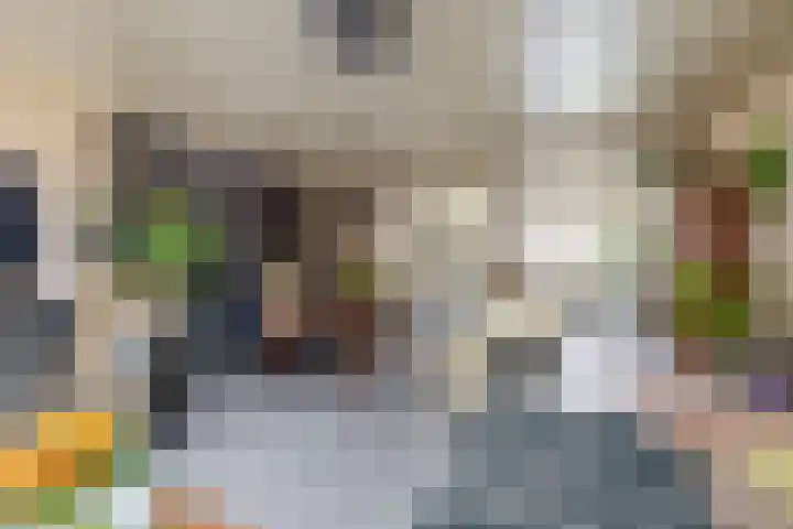 Zandhorstlaan 114 Oldenzaal thumbnail 15
