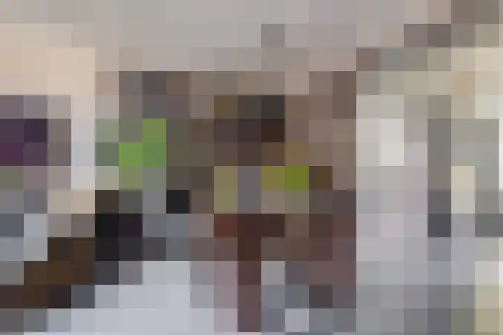 Zandhorstlaan 114 Oldenzaal thumbnail 16