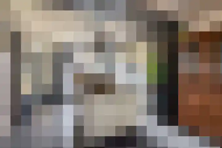 Zandhorstlaan 114 Oldenzaal thumbnail 17