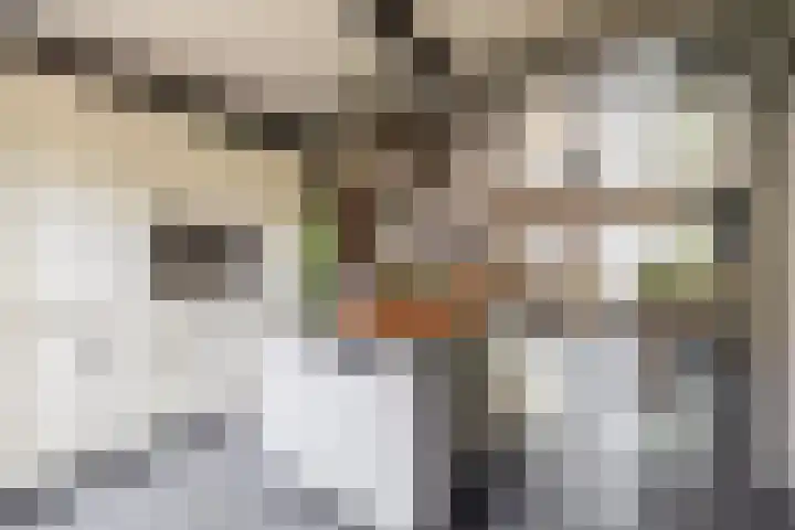 Zandhorstlaan 114 Oldenzaal thumbnail 18