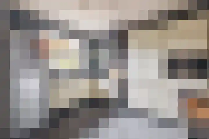 Zandhorstlaan 114 Oldenzaal thumbnail 20