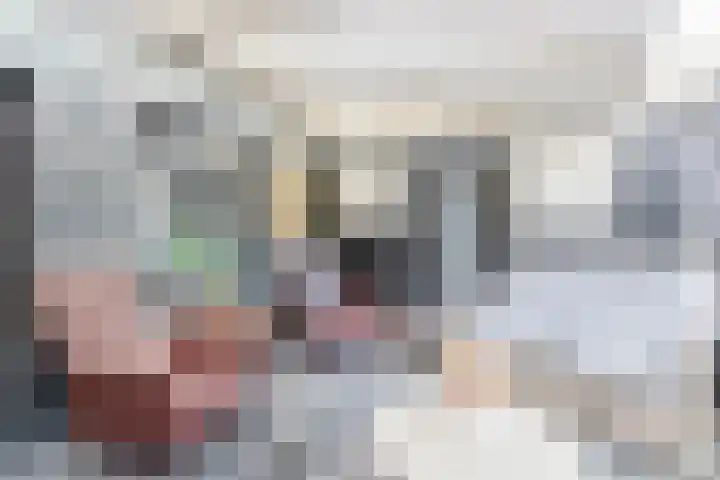 Zandhorstlaan 114 Oldenzaal thumbnail 23