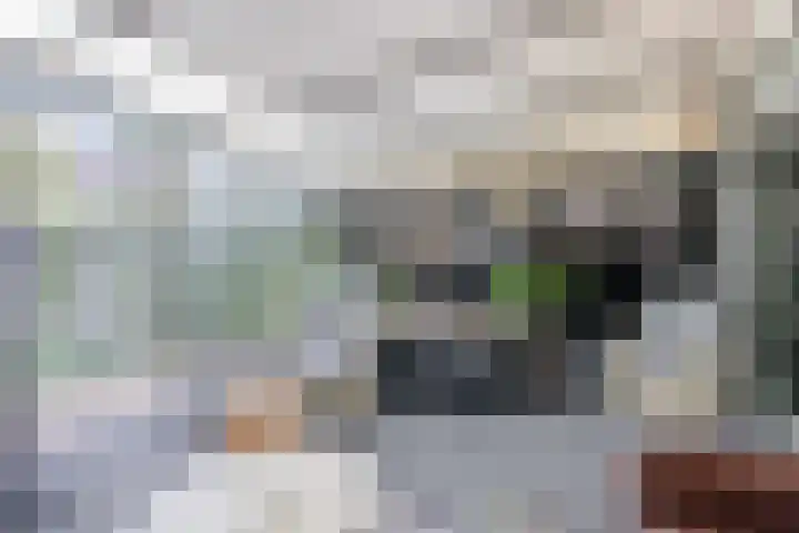 Zandhorstlaan 114 Oldenzaal thumbnail 24