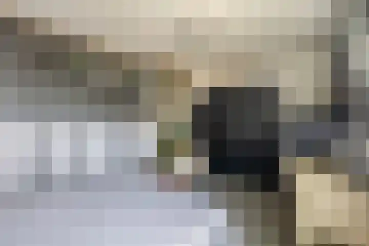 Zandhorstlaan 114 Oldenzaal thumbnail 27