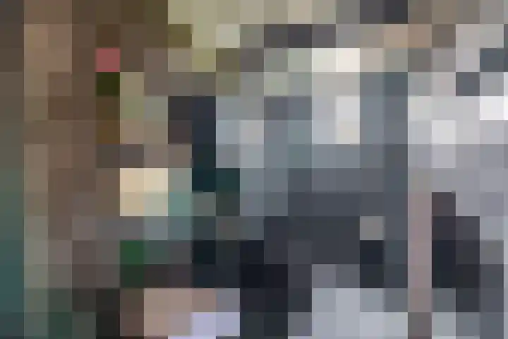 Zandhorstlaan 114 Oldenzaal thumbnail 30