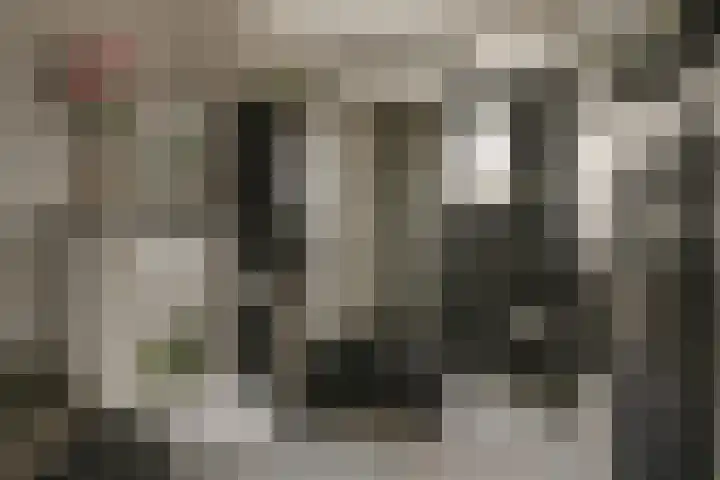 Zandhorstlaan 114 Oldenzaal thumbnail 31