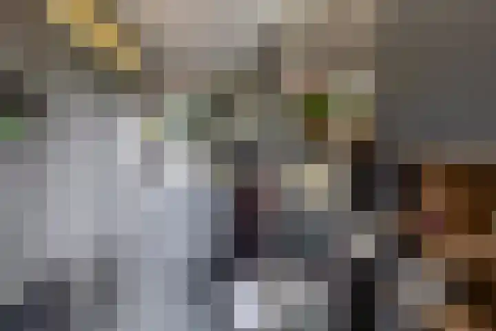Zandhorstlaan 114 Oldenzaal thumbnail 32