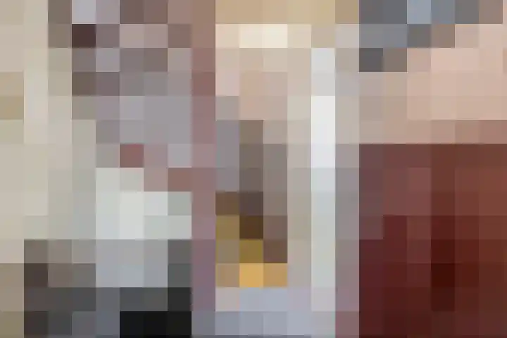 Zandhorstlaan 114 Oldenzaal thumbnail 34