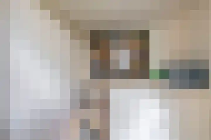 Zandhorstlaan 114 Oldenzaal thumbnail 35