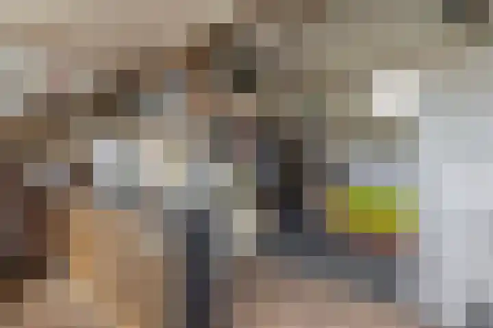 Zandhorstlaan 114 Oldenzaal thumbnail 37
