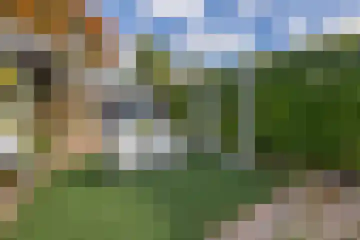 Zandhorstlaan 114 Oldenzaal thumbnail 39