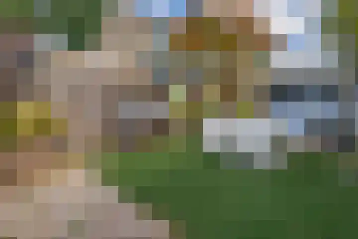 Zandhorstlaan 114 Oldenzaal thumbnail 40