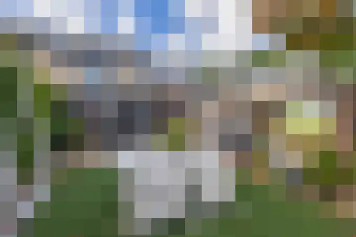 Zandhorstlaan 114 Oldenzaal thumbnail 41