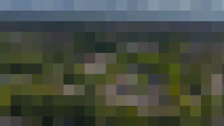 Zandhorstlaan 114 Oldenzaal thumbnail 43