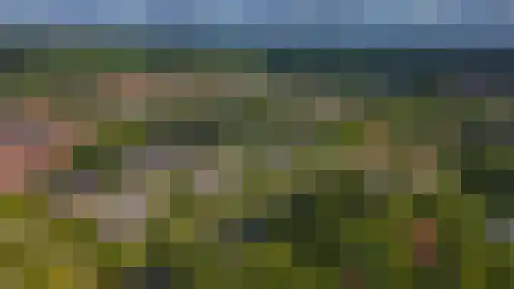 Zandhorstlaan 114 Oldenzaal thumbnail 44