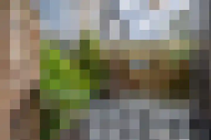 Zandhorstlaan 114 Oldenzaal thumbnail 5