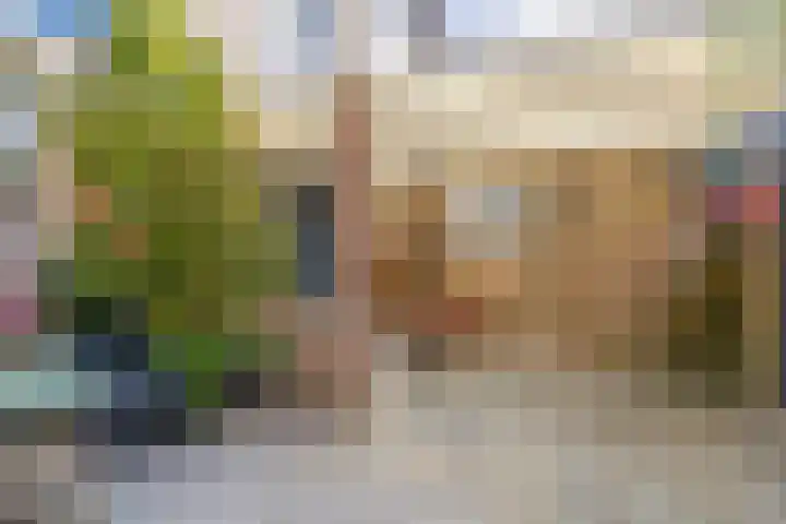 Zandhorstlaan 114 Oldenzaal thumbnail 7