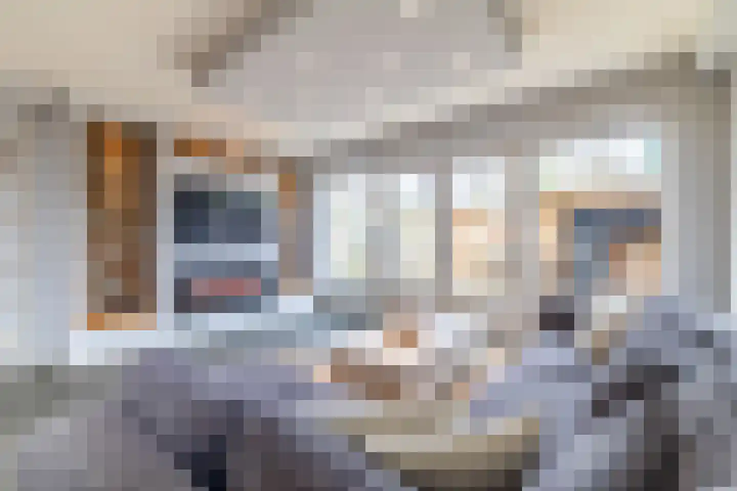 Zandhorstlaan 124 Oldenzaal thumbnail 12
