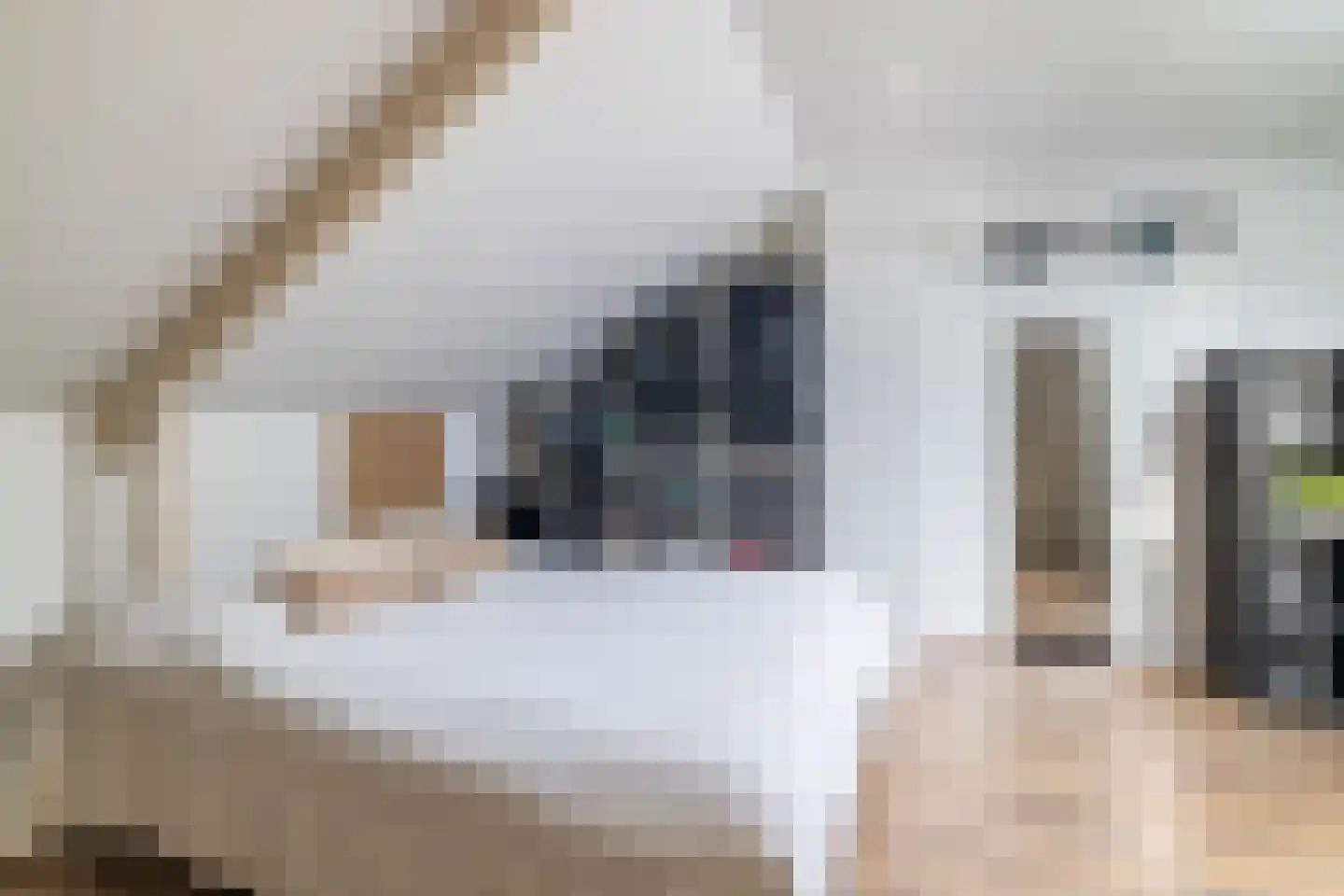 Zandhorstlaan 124 Oldenzaal thumbnail 27