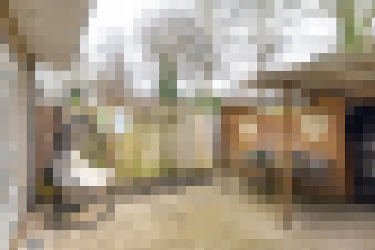Zandhorstlaan 124 Oldenzaal thumbnail 29