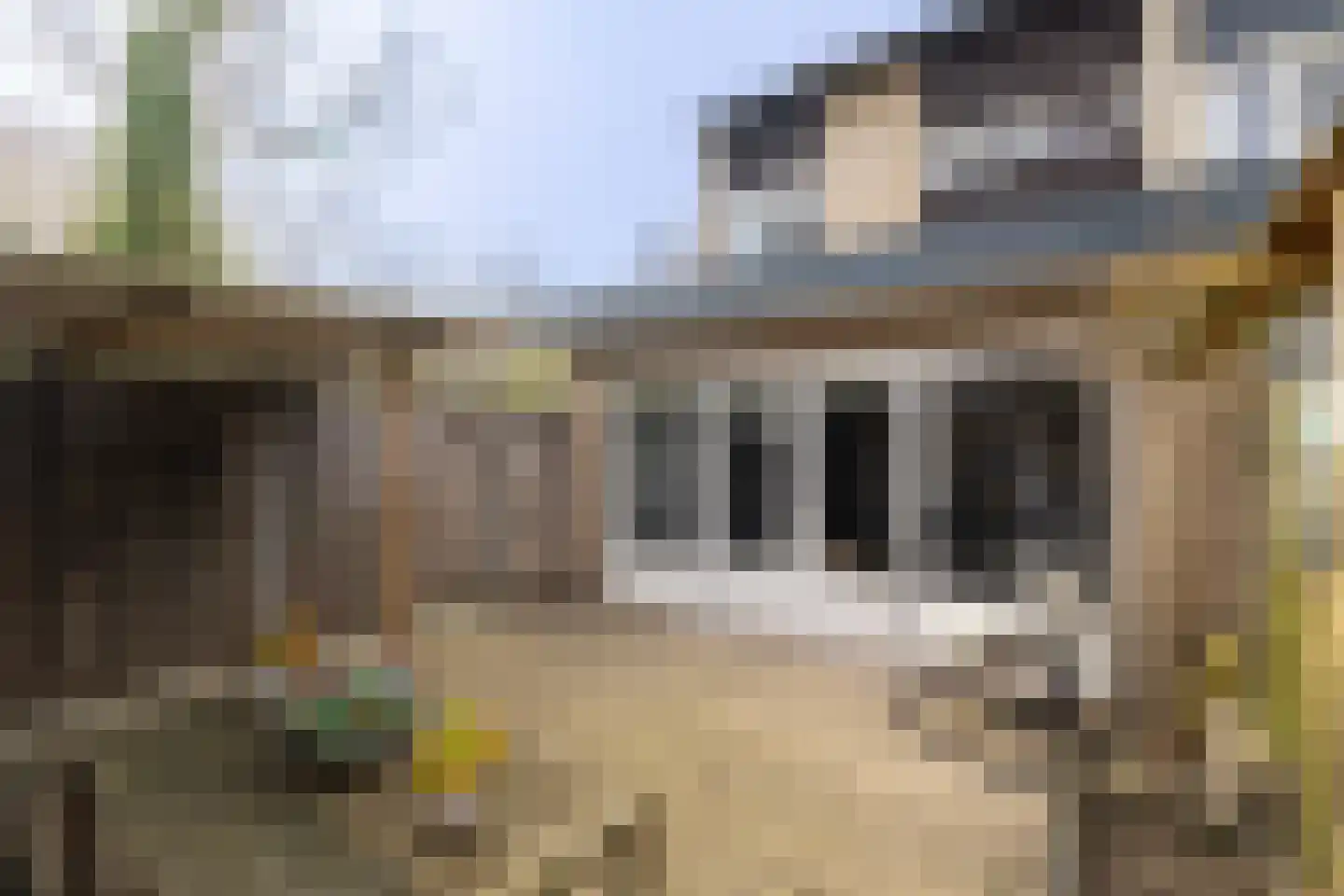 Zandhorstlaan 124 Oldenzaal thumbnail 30