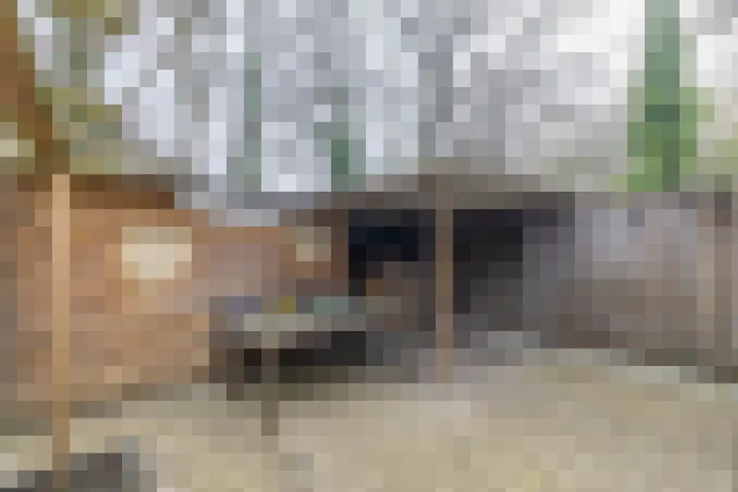Zandhorstlaan 124 Oldenzaal thumbnail 31