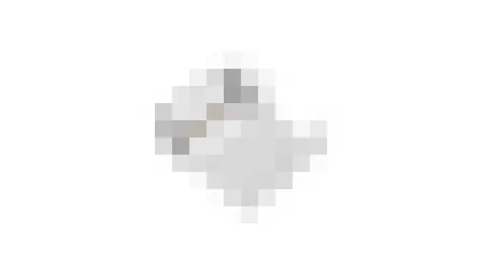 Zandhorstlaan 124 Oldenzaal thumbnail 44