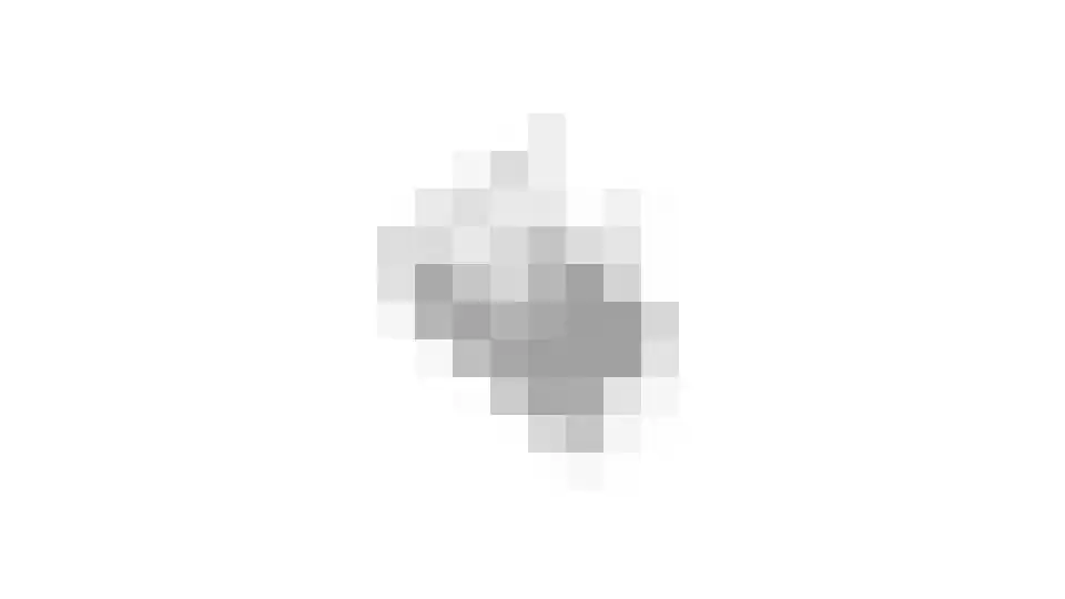 Zandhorstlaan 124 Oldenzaal thumbnail 46