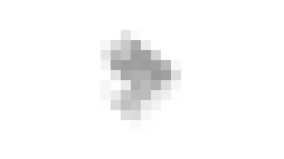 Zandhorstlaan 124 Oldenzaal thumbnail 47