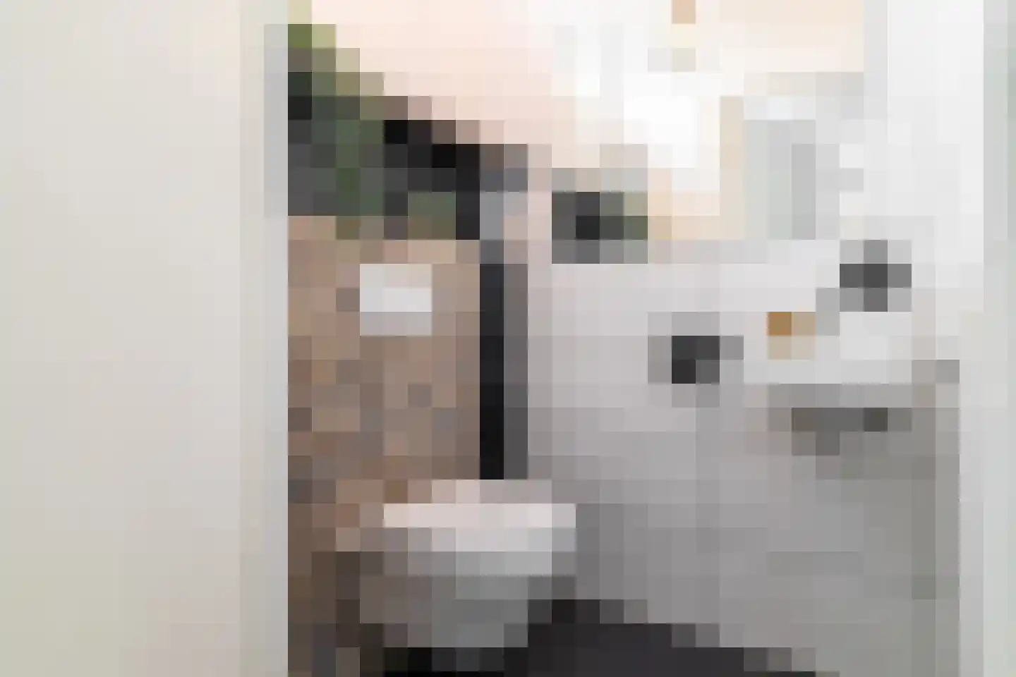 Zandhorstlaan 124 Oldenzaal thumbnail 8