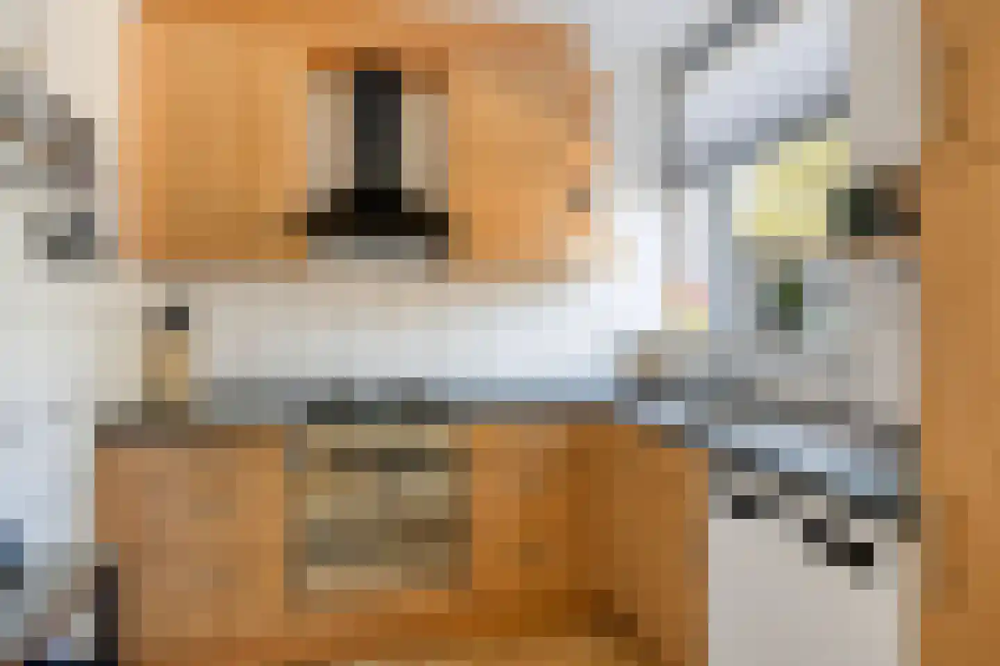 Zandhorstlaan 146 Oldenzaal thumbnail 11