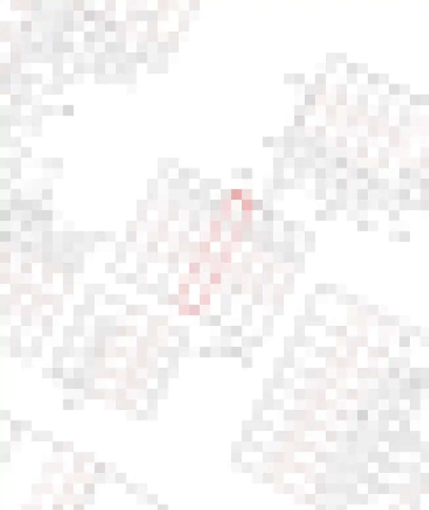Zandhorstlaan 146 Oldenzaal thumbnail 36