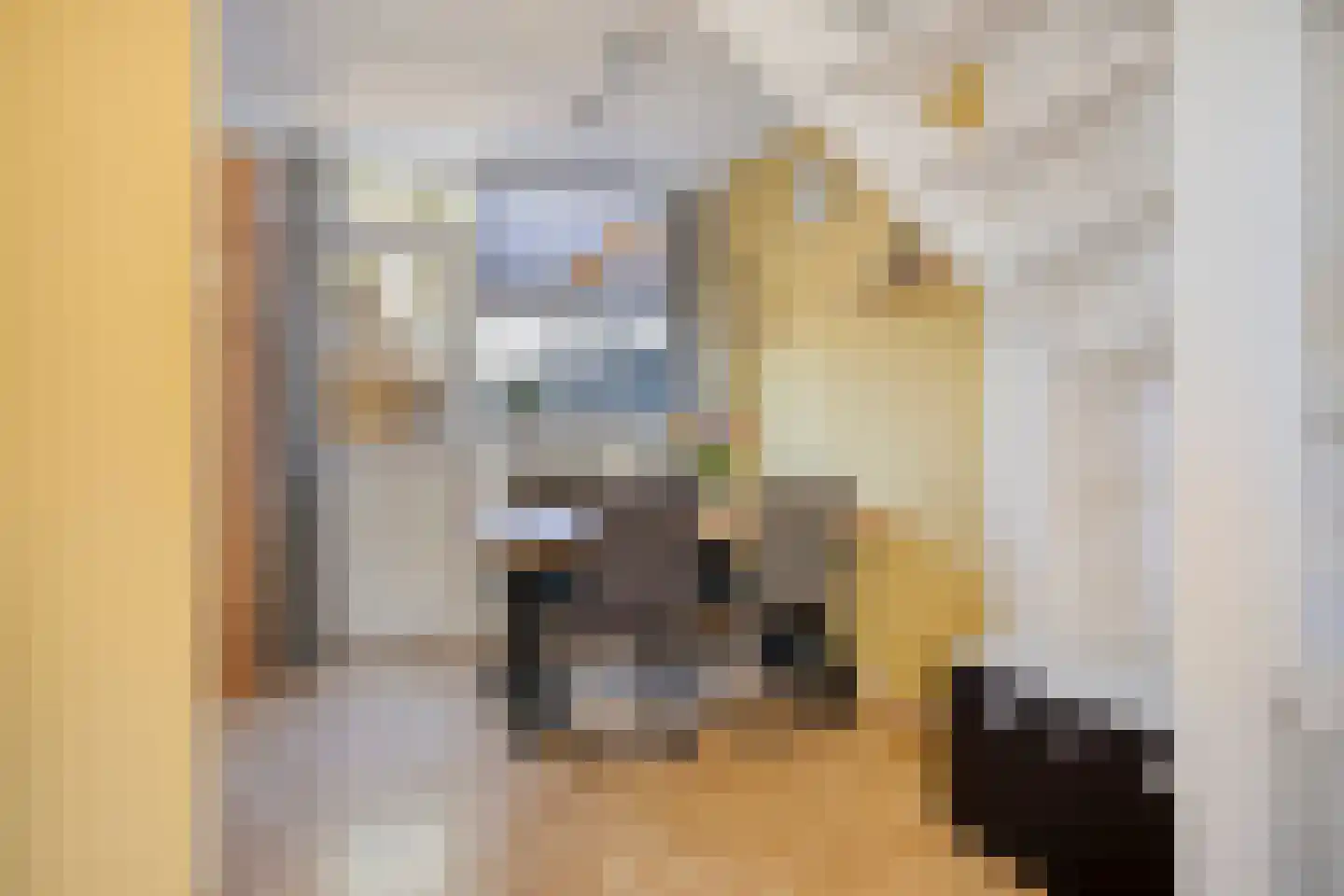 Zandhorstlaan 146 Oldenzaal thumbnail 8