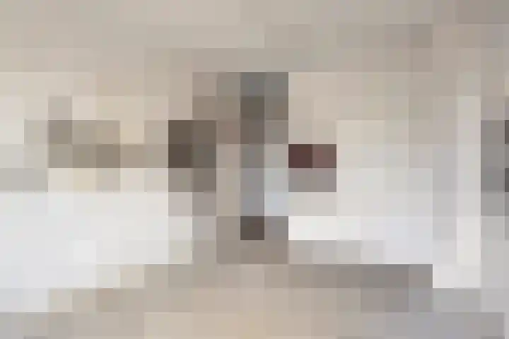 Zandhorstlaan 150 Oldenzaal thumbnail 12