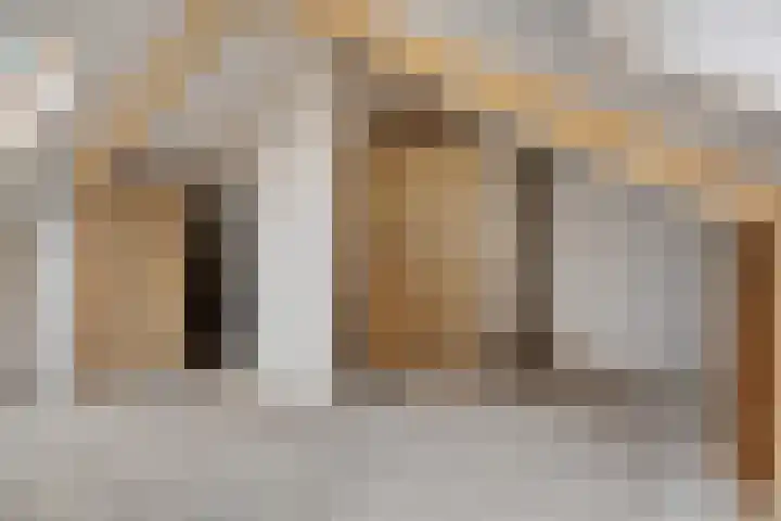 Zandhorstlaan 150 Oldenzaal thumbnail 17