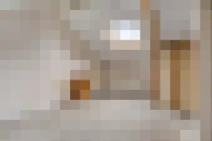Zandhorstlaan 150 Oldenzaal thumbnail 18