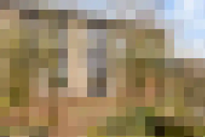 Zandhorstlaan 150 Oldenzaal thumbnail 19