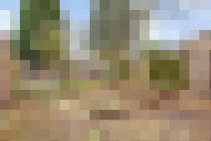 Zandhorstlaan 150 Oldenzaal thumbnail 20