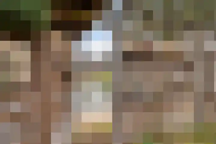 Zandhorstlaan 150 Oldenzaal thumbnail 21