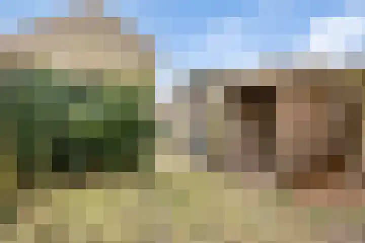 Zandhorstlaan 150 Oldenzaal thumbnail 23