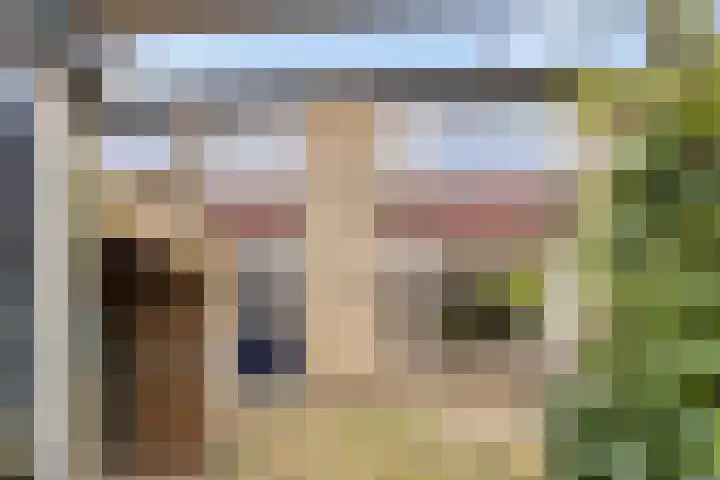 Zandhorstlaan 150 Oldenzaal thumbnail 24