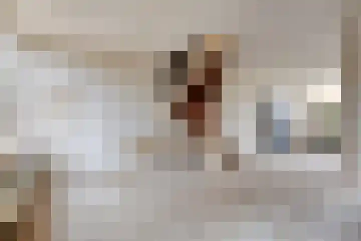 Zandhorstlaan 150 Oldenzaal thumbnail 4