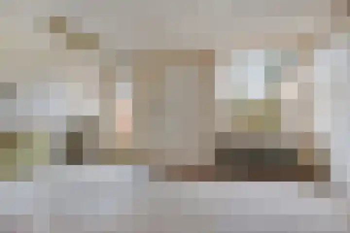 Zandhorstlaan 150 Oldenzaal thumbnail 6
